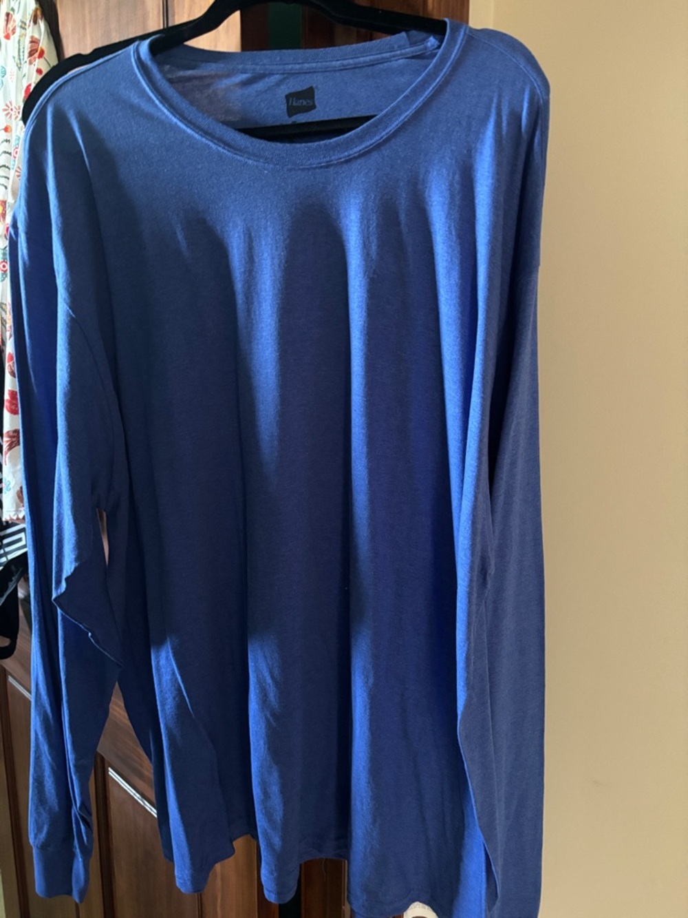 Hanes Blue Crewneck Long Sleeve Top